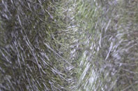 Honor Oak fibreglass roof work